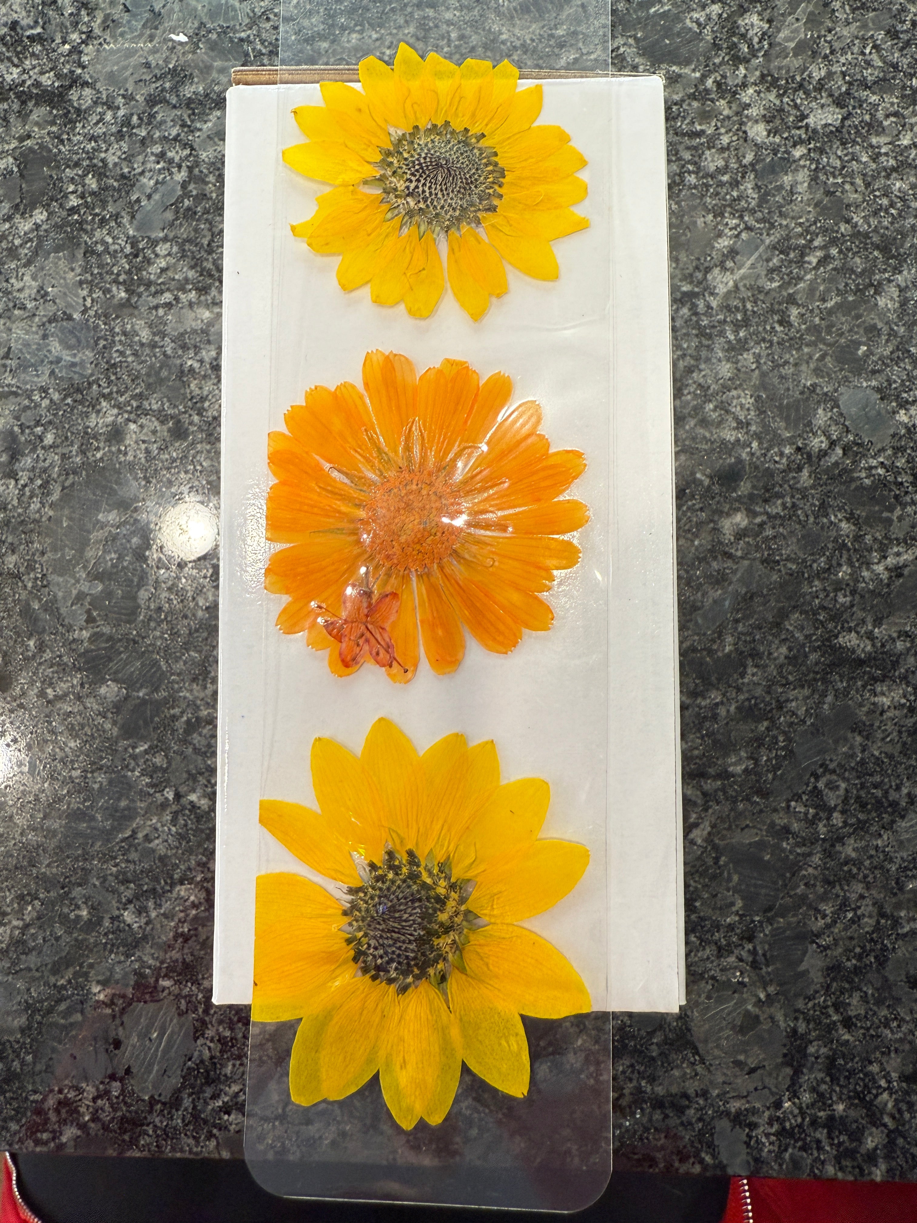 Dried Flowers Bookmark Set – Bundle of 3 Large Pressed Flower Bookmarks 🌸✨